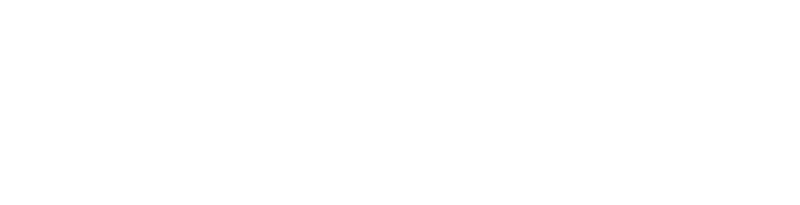 Navy SEAL Foundation logo